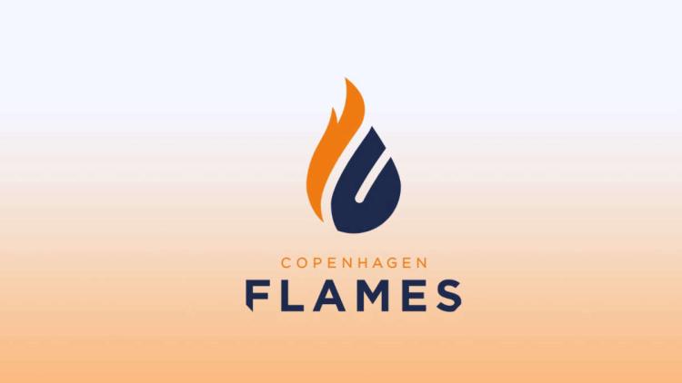 Ryktet: birdfromsky kan vara den nya kaptenen Copenhagen Flames