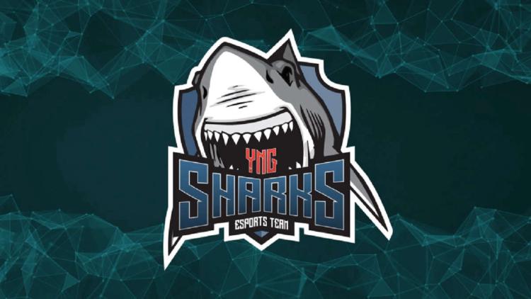 Rykten: rdnzao kommer att bli en ny spelare Sharks Esports