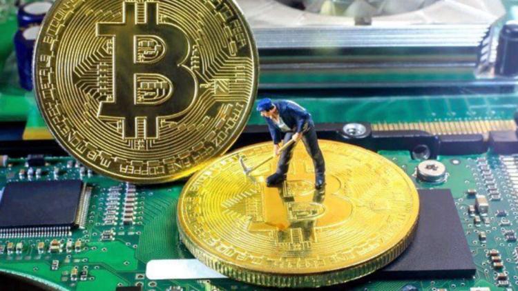 År 2022 minskade bitcoin-gruvarbetarnas vinst med 43 %