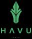 HAVU Gaming