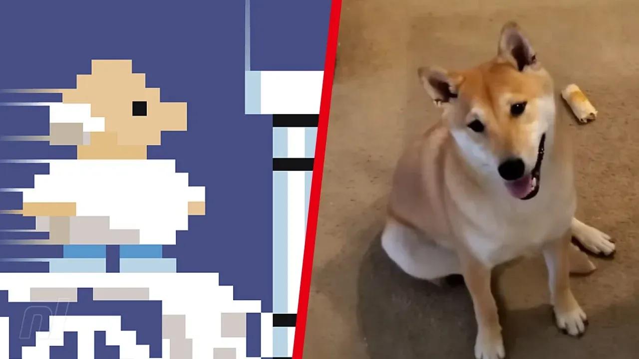 Paws and Pixels: Peanut Butter the Shiba Inu Breaks Speedrunning Records in Epic Gyromite Run at Awesome Games Done Quick!