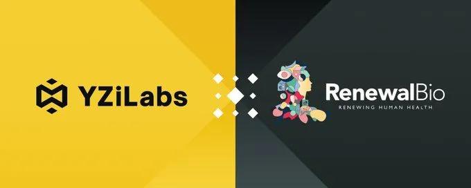 YZi Labs investerar i Renewal Bio: Ett revolutionerande steg inom regenerativ medicin för att övervinna organbristen
