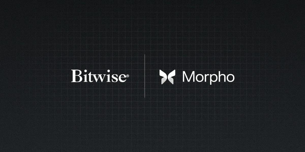 Bitwise lanserar On-Chain Vault i samarbete med Morpho