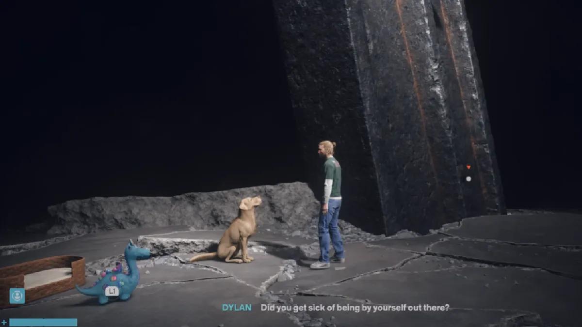 Kontrollresonant Varje hund har sin dag: Alla hund- och leksaksplatser