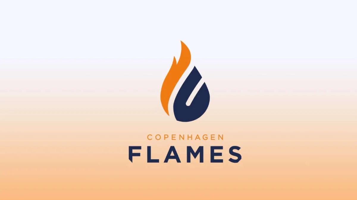 Ryktet: birdfromsky kan vara den nya kaptenen Copenhagen Flames