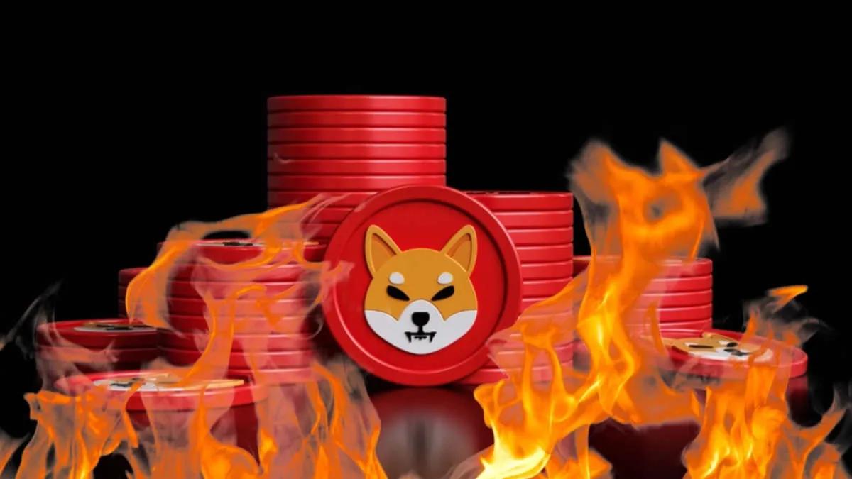 Över 48 000 000 Shiba Inu har bränts under de senaste 24 timmarna