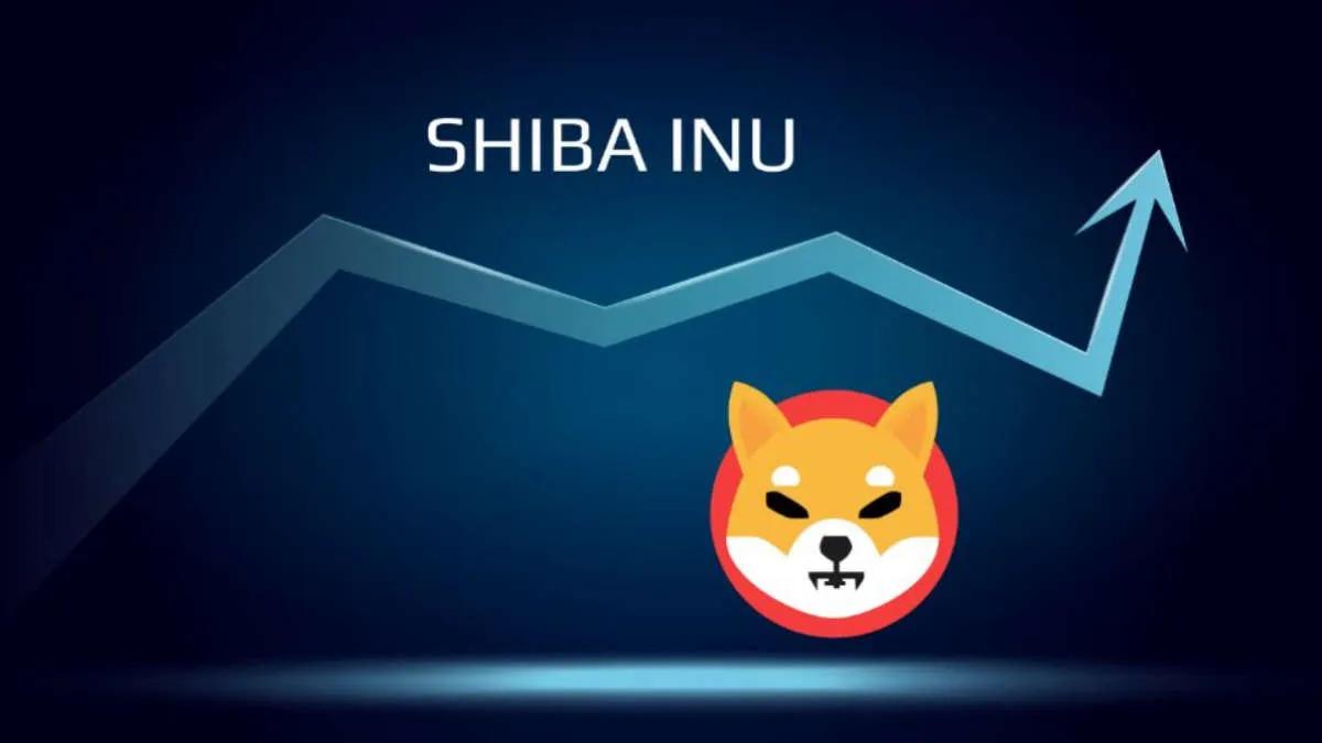 Memeackumulering – valar köpte 2 500 000 000 000 Shiba Inu per dag