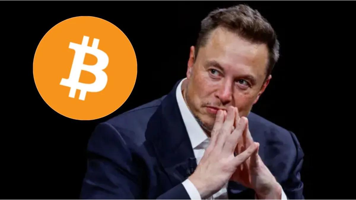 Elon Musk svindlar Bitcoin igen