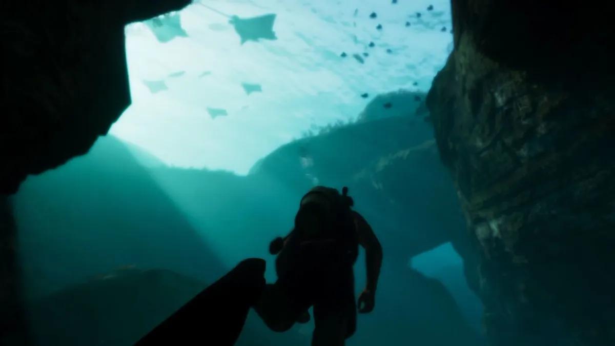 GTA 6 kan komma att innehålla en egen version av Miami Seaquarium